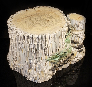 tree-stump